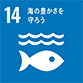 SDG_icon